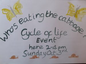 ‘Who’s eating the cabbage?’ Cycle of life event
