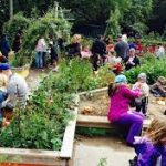 Introduction to Permaculture workshop